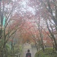 評論圖片 1
