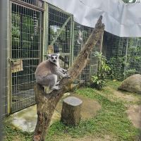 評論圖片 3