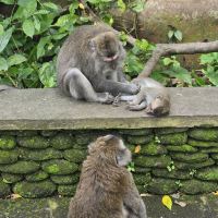 評論圖片 6