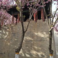 評論圖片 1