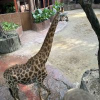 評論圖片 3
