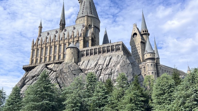 review picture
