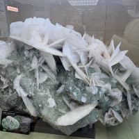 評論圖片 2