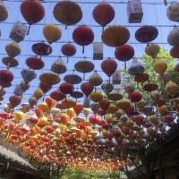 評論圖片 7