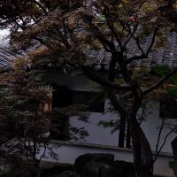 評論圖片 2