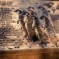 評論圖片 3