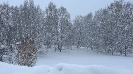 冬季的禾木真的很美，禾木村的设施也越来越完善了，吉克普林滑雪