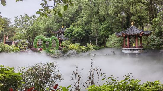 罗浮山风景真不错，推荐去游一下，从索道下来爬到最高峰，边爬边