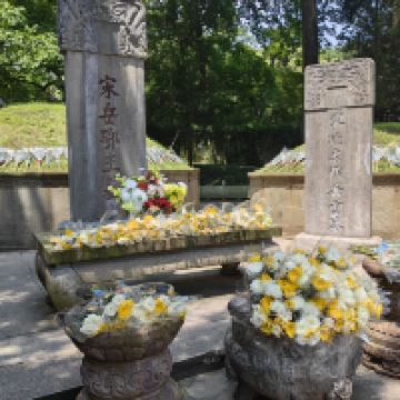 評論圖片 7