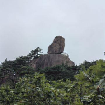 評論圖片 7