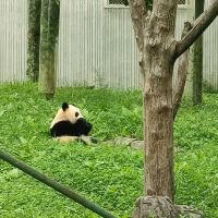 評論圖片 5
