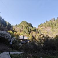 評論圖片 6