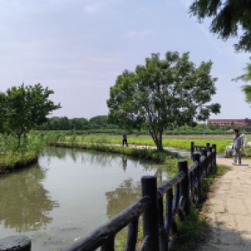 評論圖片 5