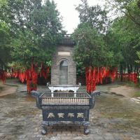 評論圖片 5