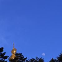 評論圖片 7