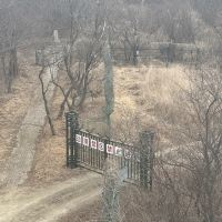 評論圖片 7