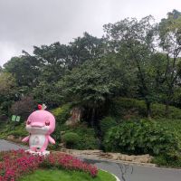 評論圖片 2