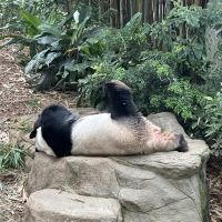 評論圖片 1