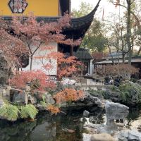 評論圖片 3