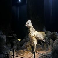 評論圖片 3