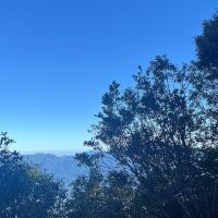 評論圖片 3