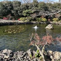 評論圖片 6