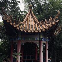評論圖片 3