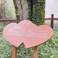 評論圖片 2