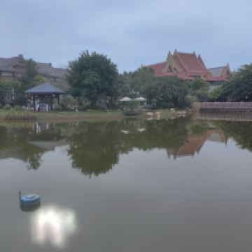 評論圖片 8