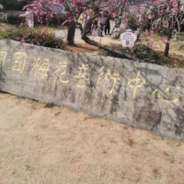 評論圖片 3