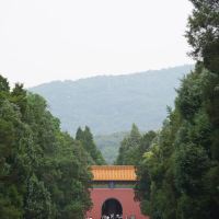 評論圖片 5