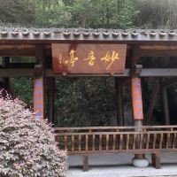 評論圖片 6