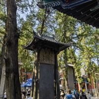評論圖片 7
