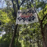 評論圖片 1