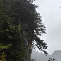 評論圖片 6