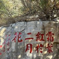 評論圖片 5