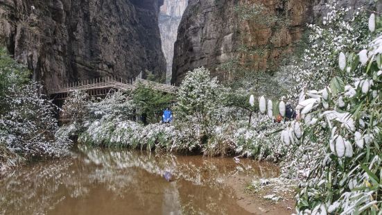 上武隆，仙女山，天生三桥。游客中心换乘景区大巴车，景区门口刷