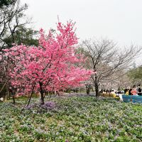 評論圖片 5
