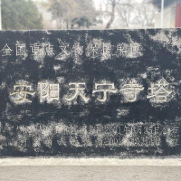 評論圖片 2