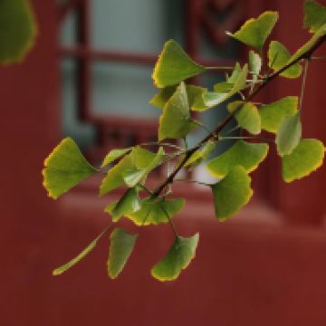 評論圖片 6