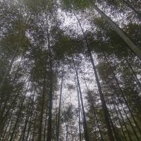 評論圖片 3