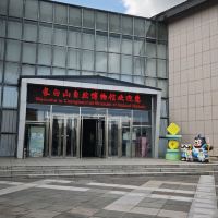 評論圖片 1