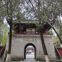 評論圖片 1