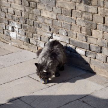 評論圖片 7