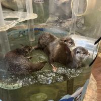 評論圖片 8