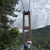 評論圖片 7