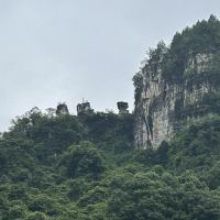 評論圖片 2