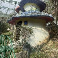 評論圖片 3