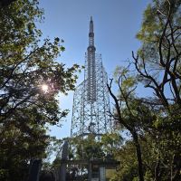評論圖片 7