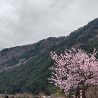 評論圖片 1
